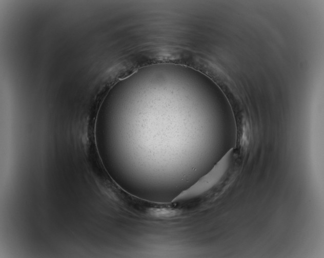 X0000088170512200705221624