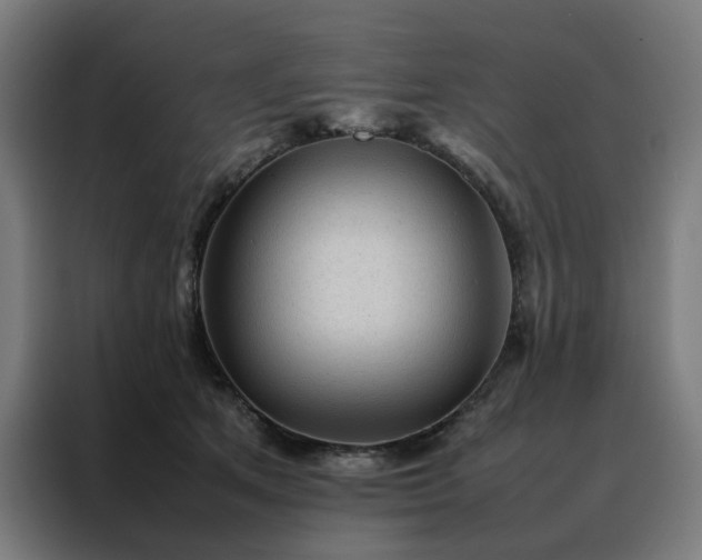 X0000088170513200705221624