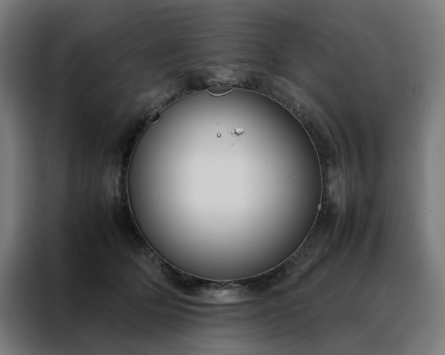 X0000088170514200705221624