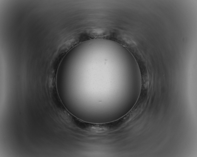 X0000088170515200705221624