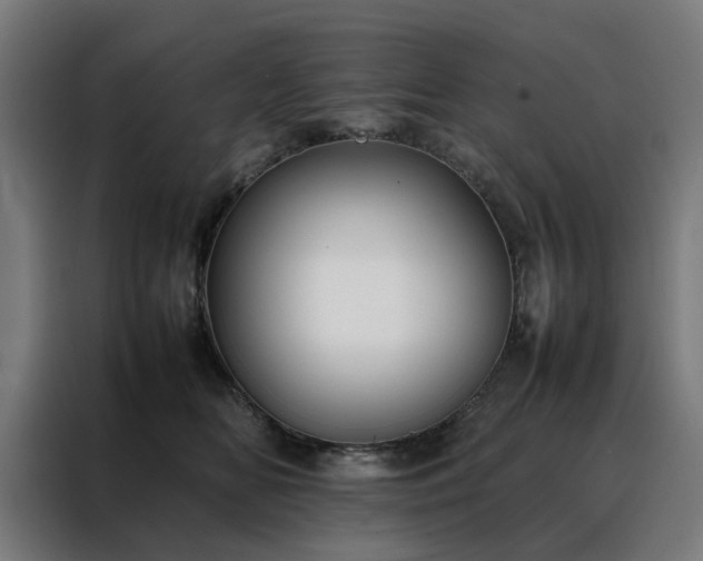 X0000088170518200705221624