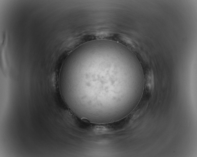 X0000088170519200705221624