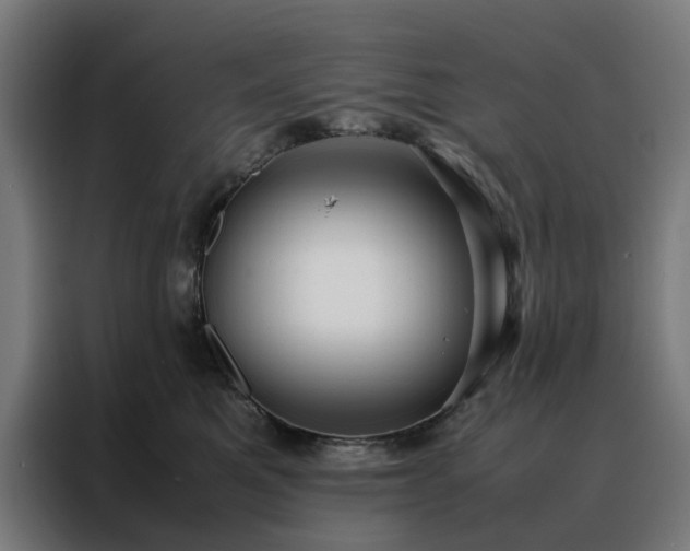 X0000088170521200705221624