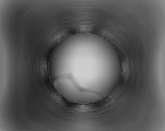 X0000088170522200705221624