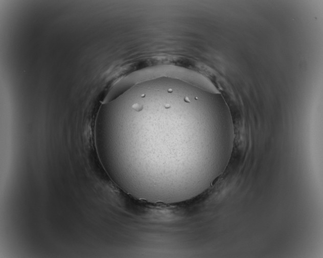 X0000088170523200705221624