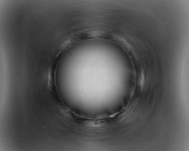 X0000088170524200705221624