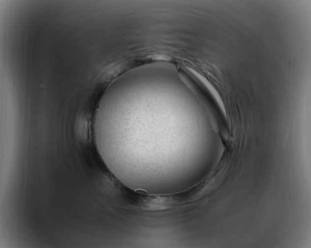 X0000088170527200705221624