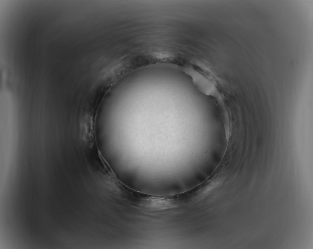 X0000088170528200705221624