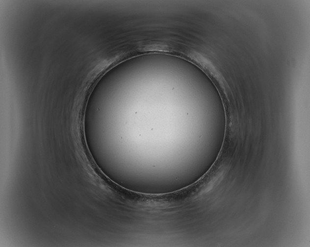 X0000088170529200705221623