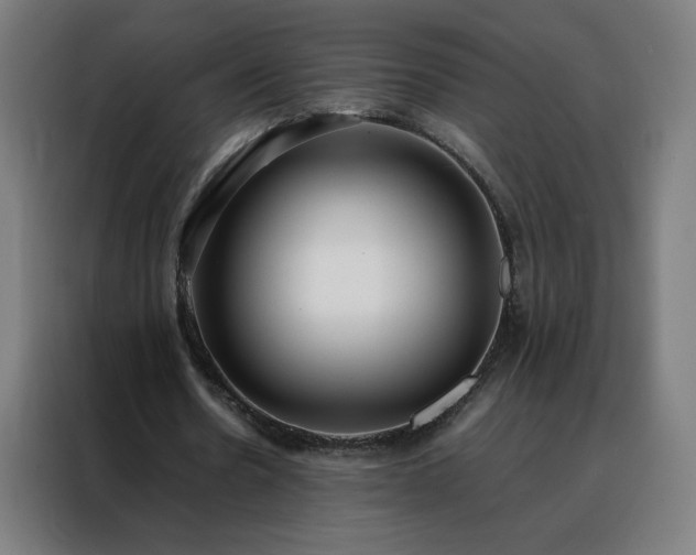 X0000088170530200705221623