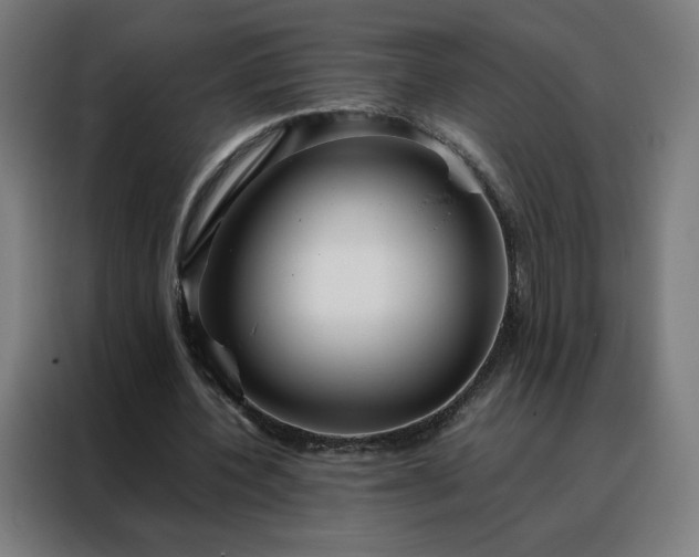 X0000088170532200705221623