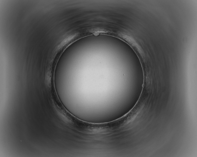 X0000088170533200705221623