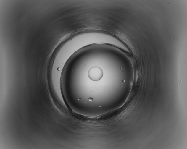 X0000088170534200705221623