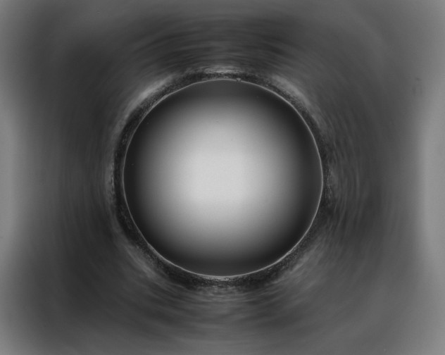 X0000088170535200705221623