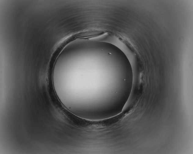 X0000088170536200705221623