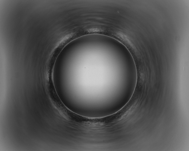 X0000088170539200705221623