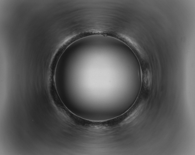 X0000088170540200705221624