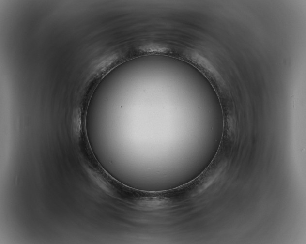 X0000088170541200705221624