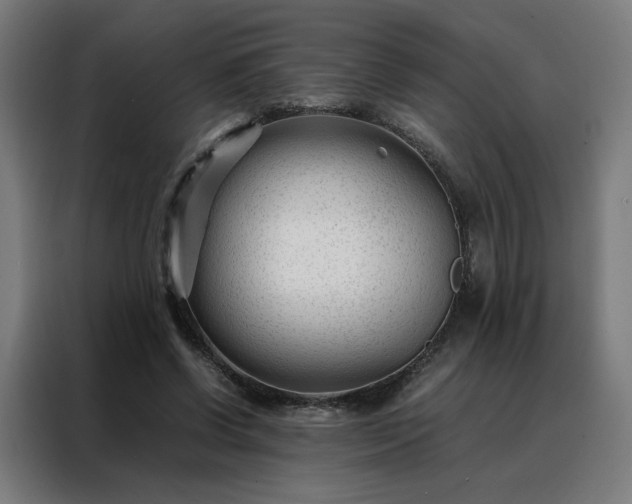 X0000088170542200705221624