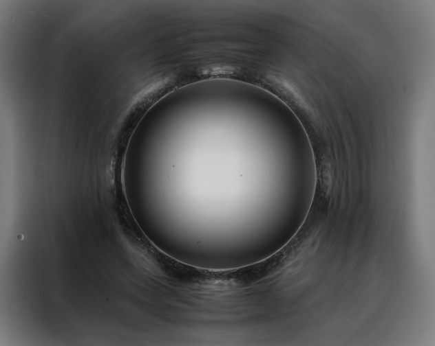 X0000088170543200705221624