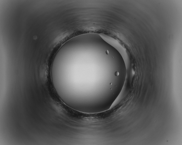 X0000088170544200705221624