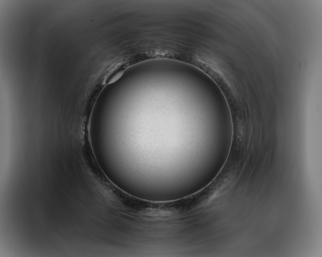 X0000088170545200705221624