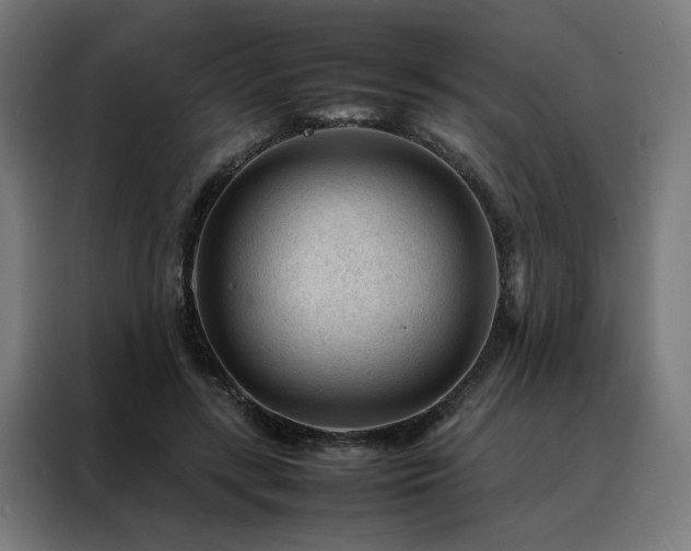 X0000088170547200705221624