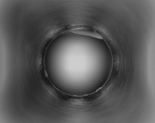 X0000088170548200705221624