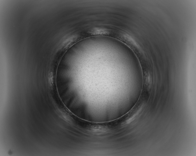 X0000088170549200705221624