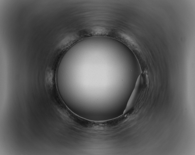 X0000088170550200705221624