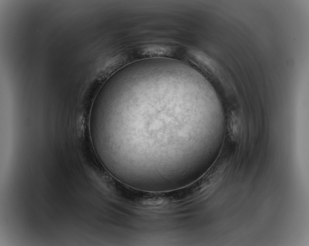 X0000088170551200705221624