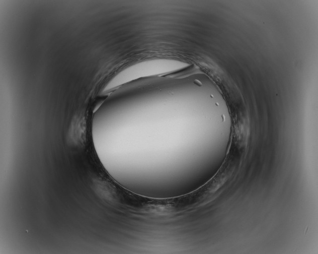 X0000088170552200705221624