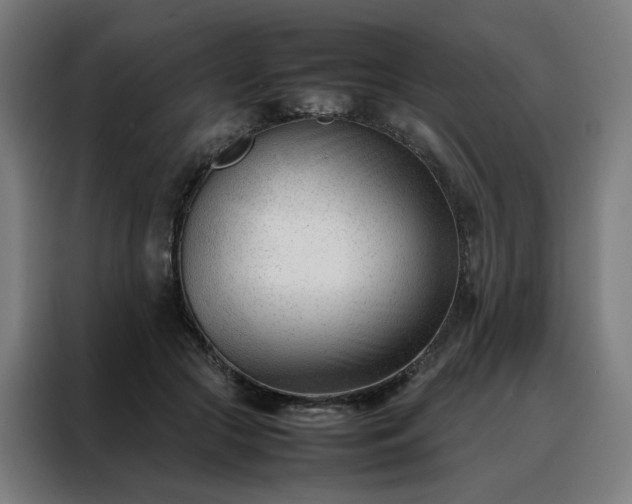 X0000088170553200705221624