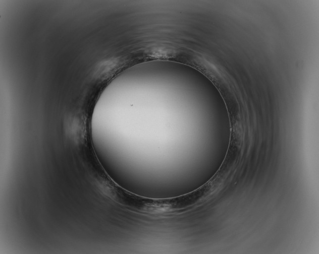 X0000088170554200705221624