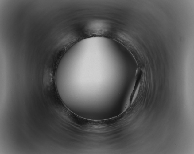 X0000088170555200705221624