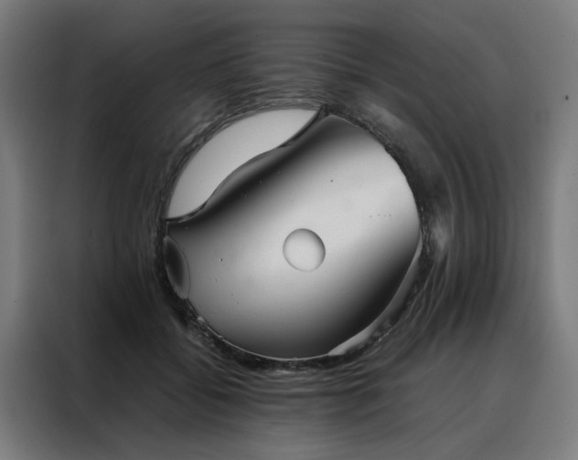 X0000088170556200705221624