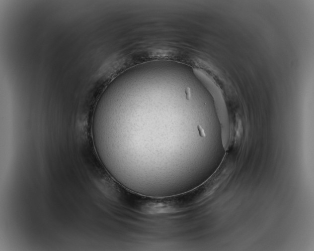 X0000088170557200705221624