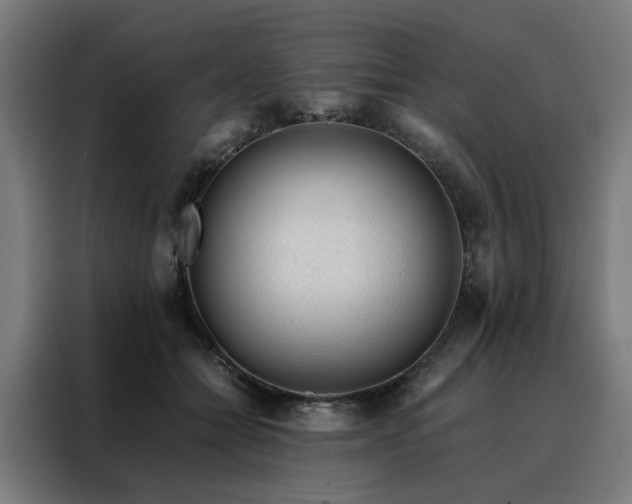 X0000088170558200705221624