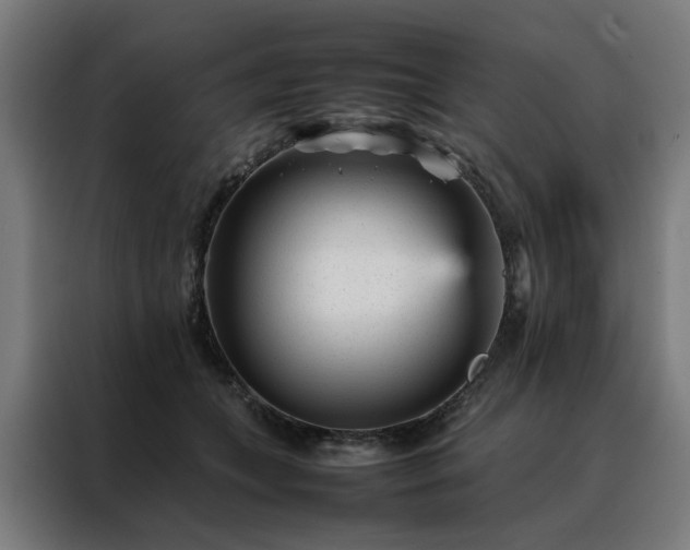 X0000088170559200705221624