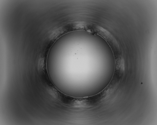 X0000088170560200705221624