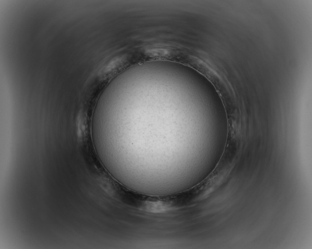 X0000088170561200705221624