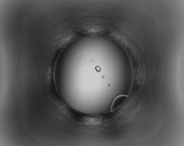 X0000088170563200705221624