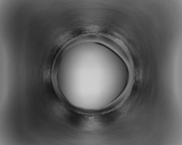 X0000088170564200705221624