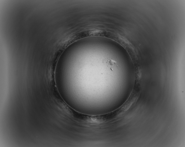 X0000088170565200705221624