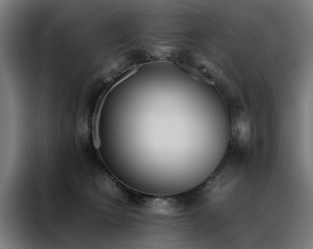 X0000088170566200705221624