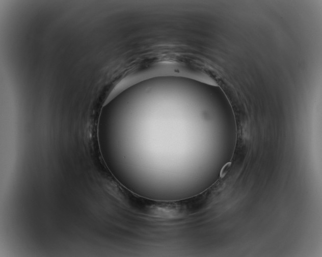 X0000088170567200705221624