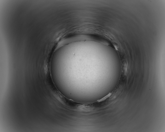 X0000088170568200705221624