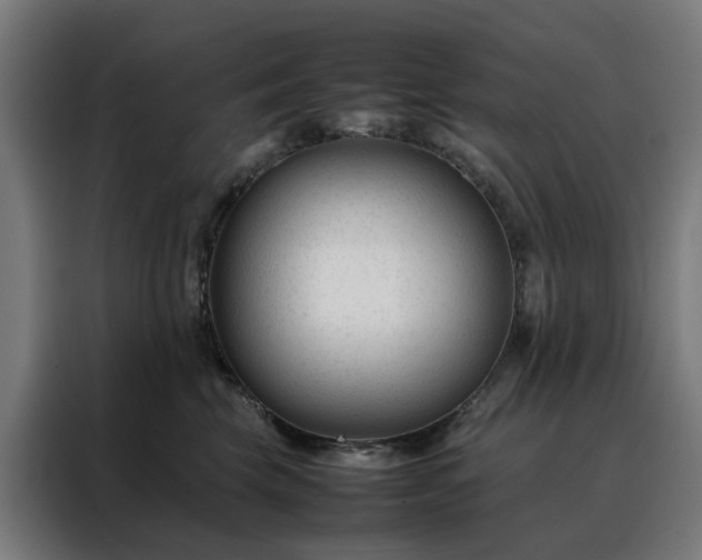 X0000088170569200705221624