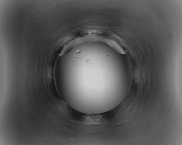 X0000088170571200705221624