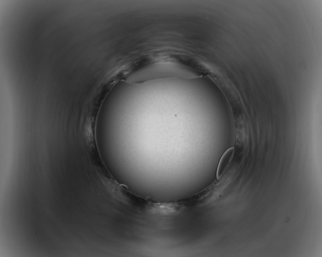 X0000088170573200705221624